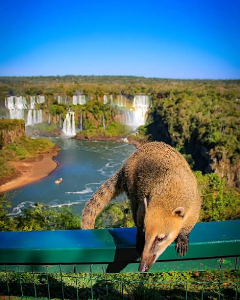 Cataratas 2